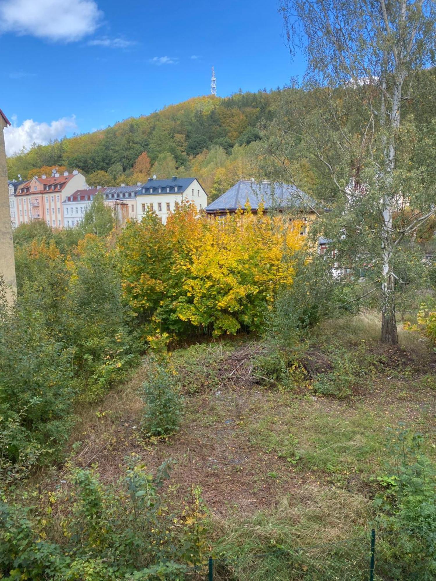 Apartmentscarlsbad Karlovy Vary Kültér fotó