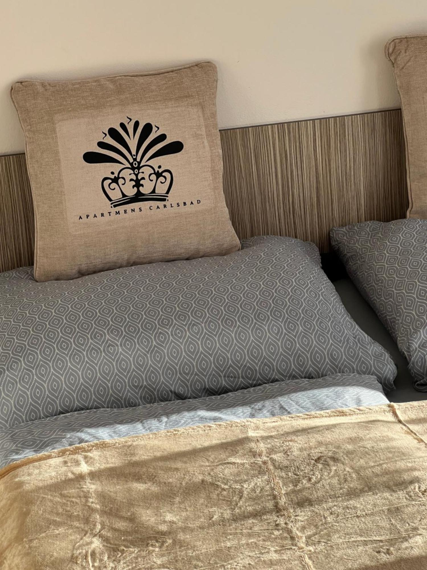 Apartmentscarlsbad Karlovy Vary Kültér fotó