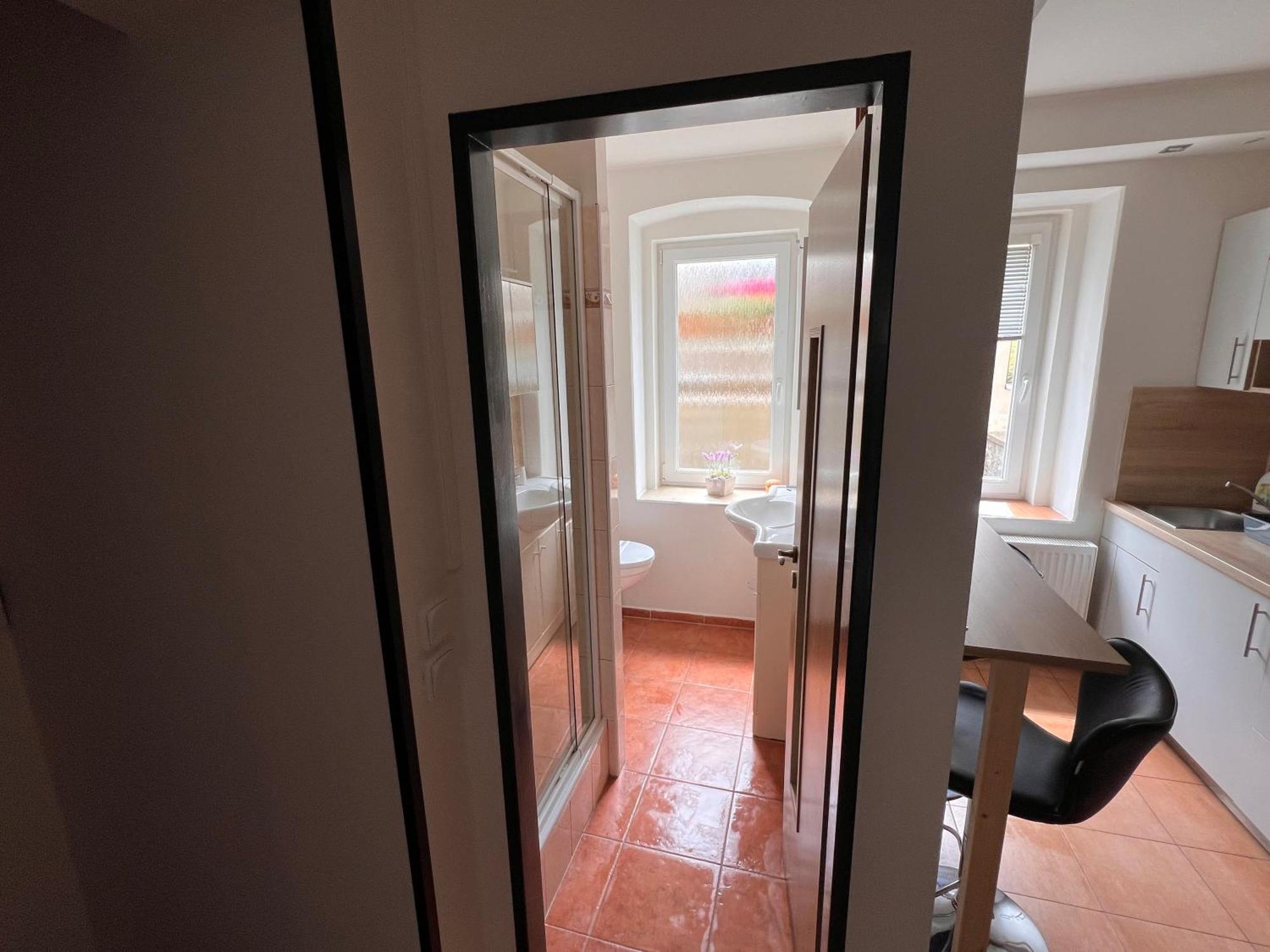Apartmentscarlsbad Karlovy Vary Kültér fotó